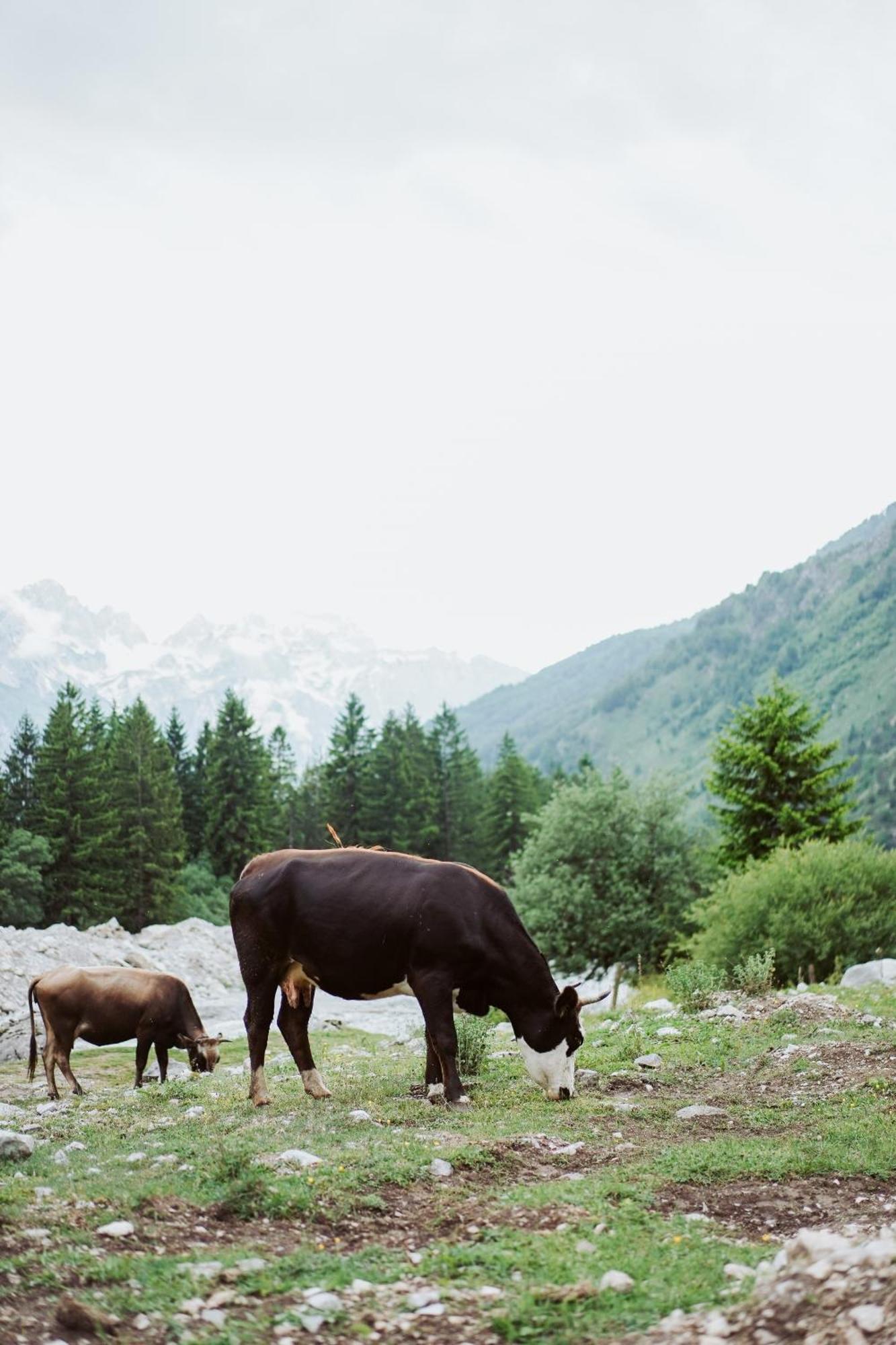 Valbona Resort & Spa מראה חיצוני תמונה