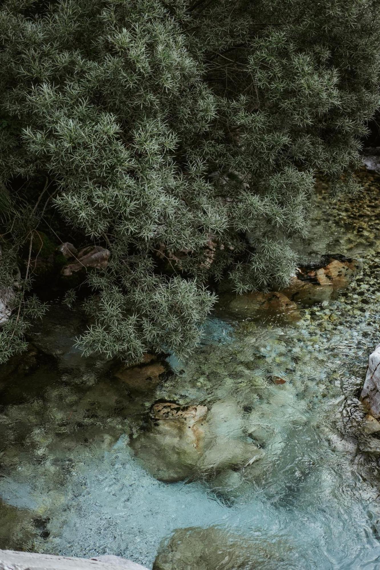 Valbona Resort & Spa מראה חיצוני תמונה